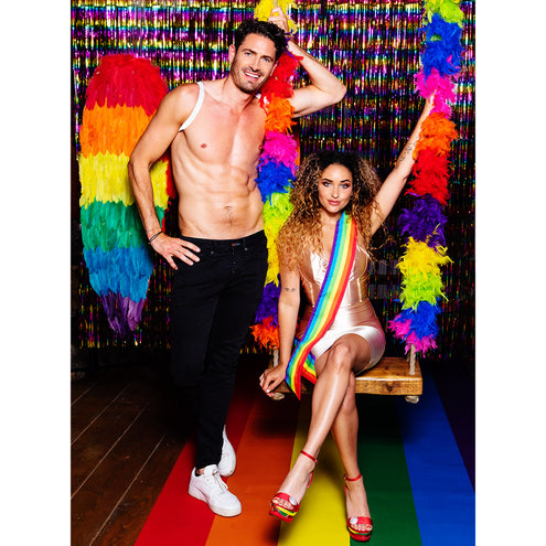 Boland Sjerp Regenboog