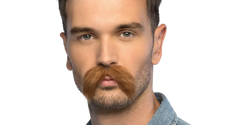 Boland Snor bruin Gustav