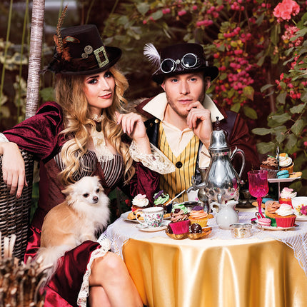 Boland Steampunkhoed Plumepunk