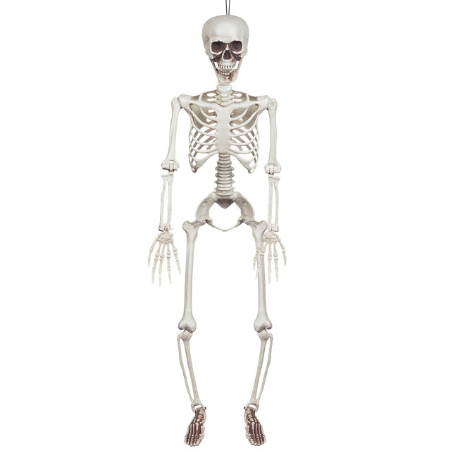 Decoratie beweegbaar skelet 91cm in botkleur, rechtop hangend aan de ophanglus, voor Halloween