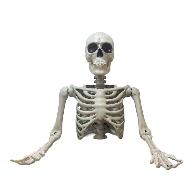 Half skelet 104 cm in botkleur met schedel, open ribbenkast en uitgestrekte armen als halloweendecoratie