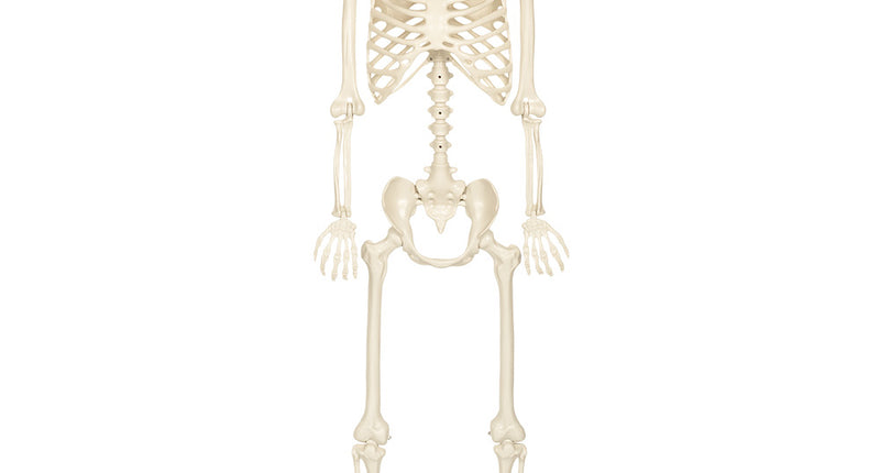 Hangdecoratie skelet skinny ivoorkleurig vooraanzicht met draadlus boven de schedel, voor Halloween