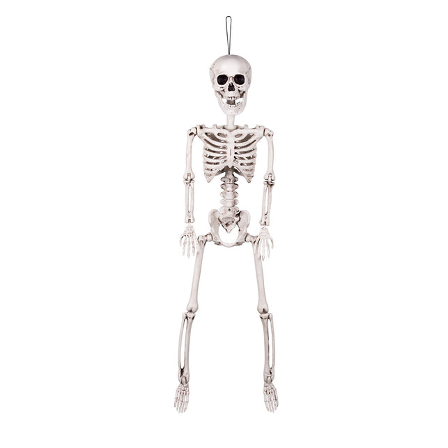 Hangend decoratieskelet van 91 cm met zwarte ophanglus bovenop de schedel