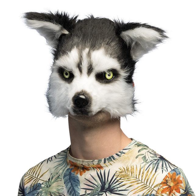 Husky masker pluche gedragen door man, zwart-witte vacht met groene ogen, voor Halloween