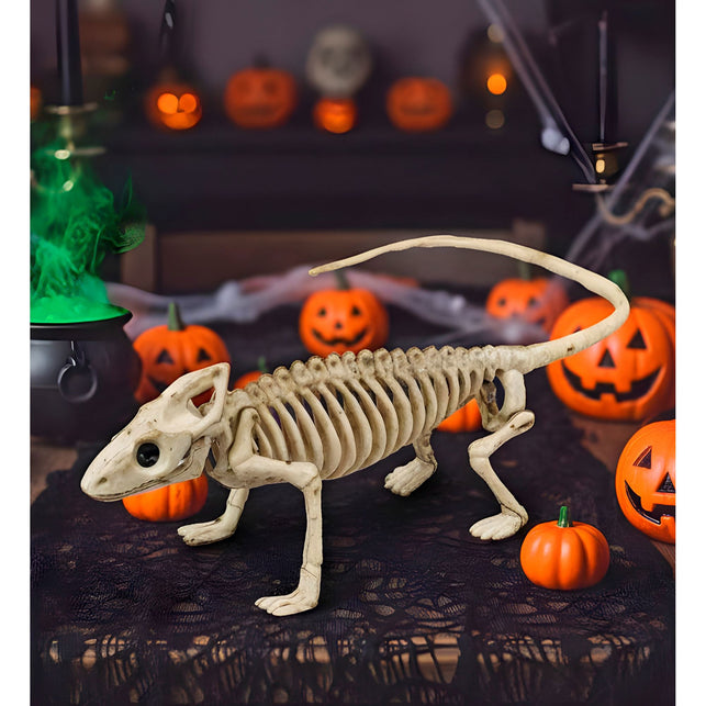 Leguaan skelet als griezeldecoratie tussen pompoenen op een zwarte tafel voor Halloween