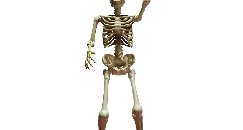Levensgroot skelet van 335 cm in botkleur met opgeheven hand en zwarte voetplaat voor Halloween