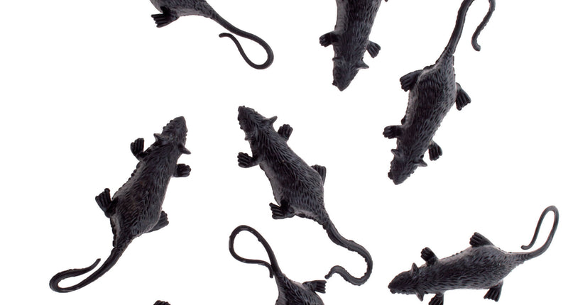 Muizen set voor Halloween met acht zwarte nepmuizen van 7 cm met lange gebogen staart