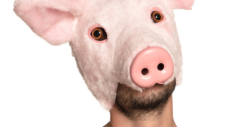 Pluchen varken masker roze met flaporen en snuit, gedragen door man als halfmasker op themafeest