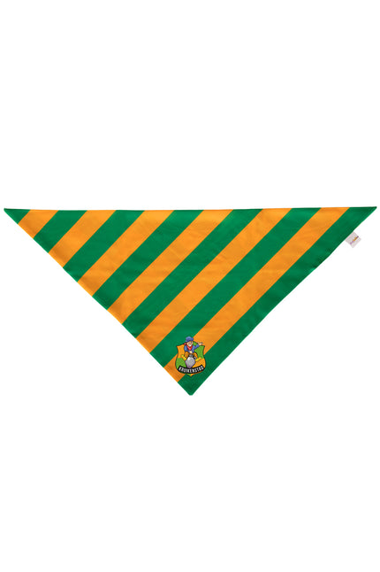 Puntsjaal Kruikenstad in groen en geel met gestreept dessin en logo op de punt voor carnaval