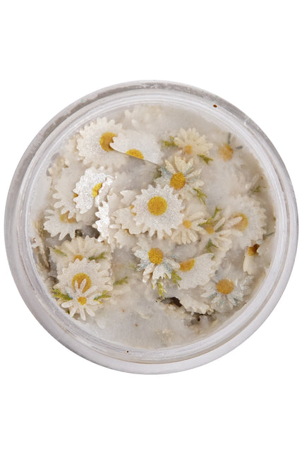 PXP bloemetjes in wax madeliefjes in een rond potje, witte bloemvormen met groene blaadjes
