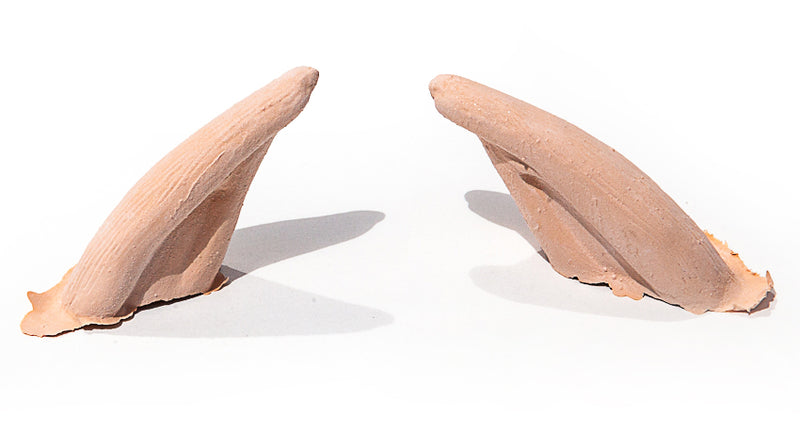 PXP Professional Colours PXP Latex elfenoren lang