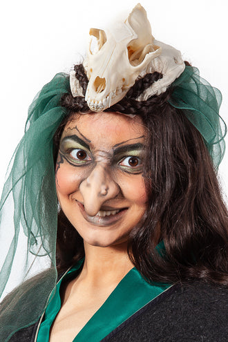 PXP Professional Colours PXP Latex heksenneus