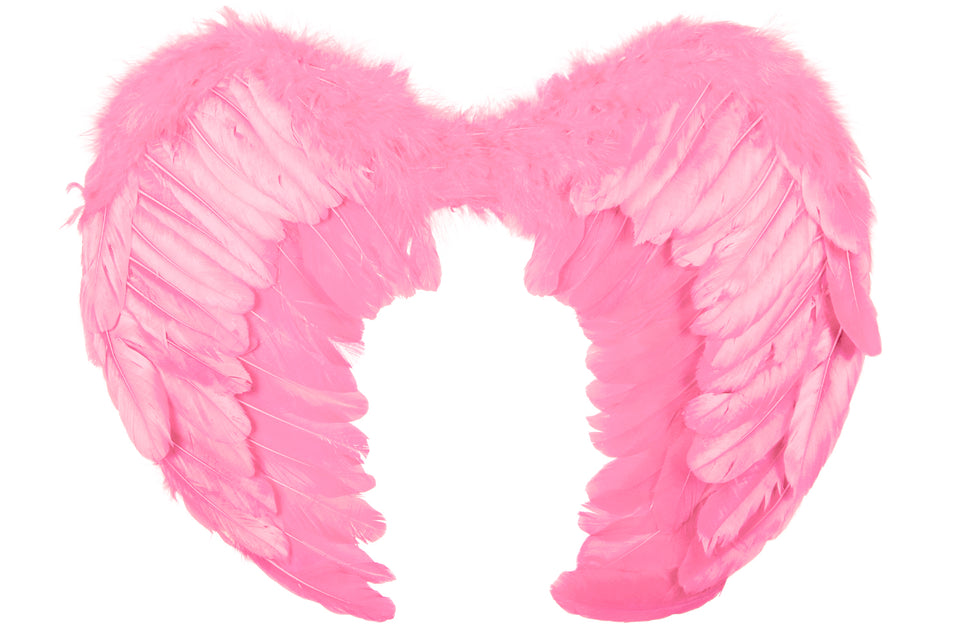 Roze veren vleugels in detail, met langere gladde slagpennen onder de pluizige veerlagen