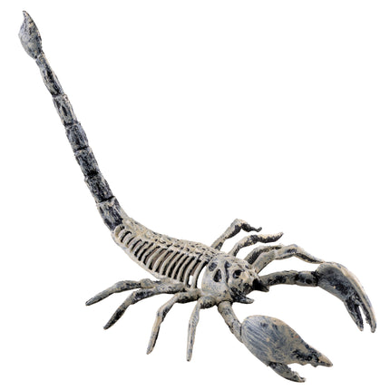 Schorpioen skelet 25 cm van pvc, botwit met zwarte vlekken en opgeheven staart, Halloween decoratie