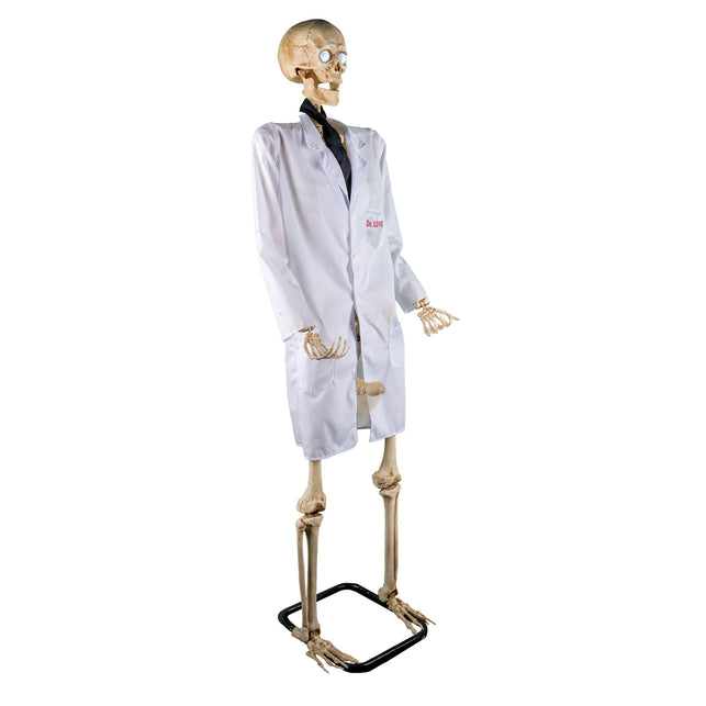 Skelet dokter 152 cm in witte doktersjas met zwarte stropdas en rode opdruk Dr. LOVE, op zwarte voetplaat