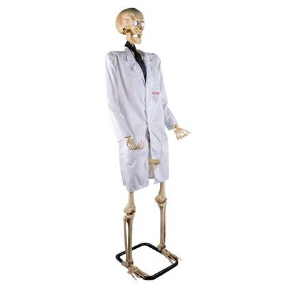 Skelet dokter 152 cm in witte doktersjas met zwarte stropdas en rode opdruk Dr. LOVE, op zwarte voetplaat