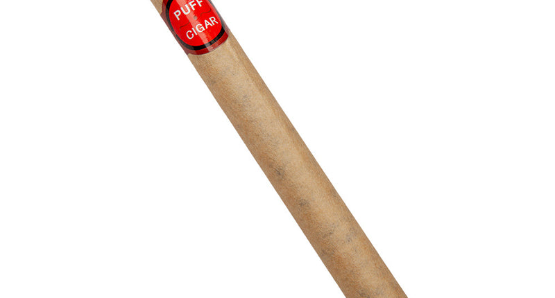 Wicked Costumes Nep sigaar