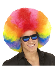 Widmann SRL Afro pruik regenboogkleur
