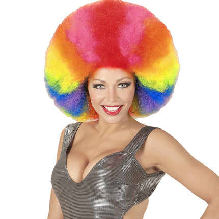 Widmann SRL Afro pruik regenboogkleur