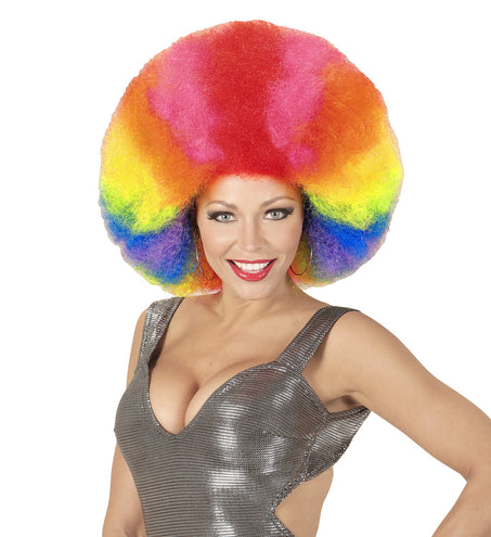 Widmann SRL Afro pruik regenboogkleur