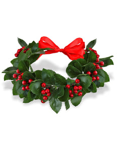 Widmann SRL Afstudeer lauwerkrans