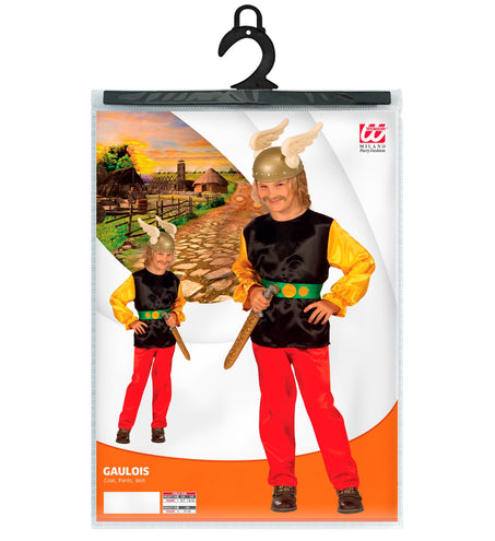 Widmann SRL Asterix kostuum Galliër kinderen