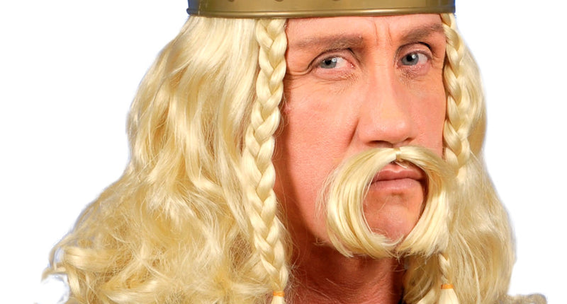 Widmann SRL Asterix pruik Viking