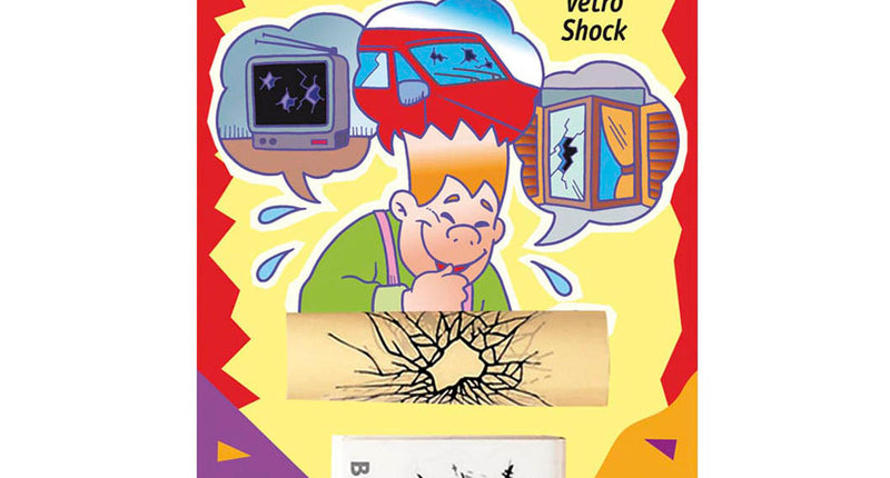 Widmann SRL Barst in de ruit stickers voor op glas