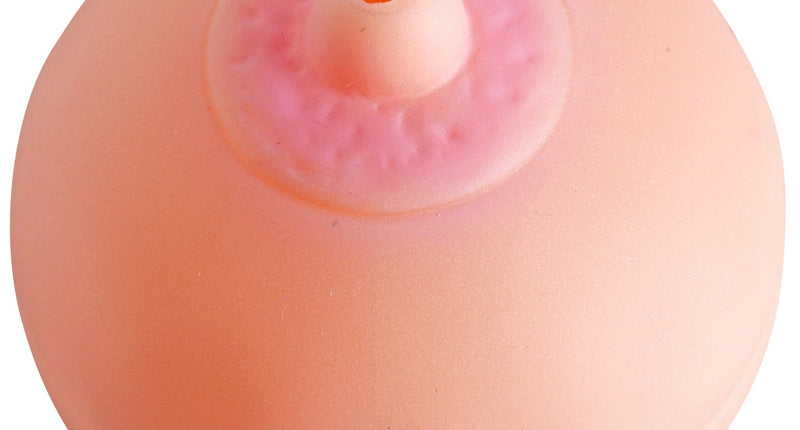 Widmann SRL Borst voor op een blikje