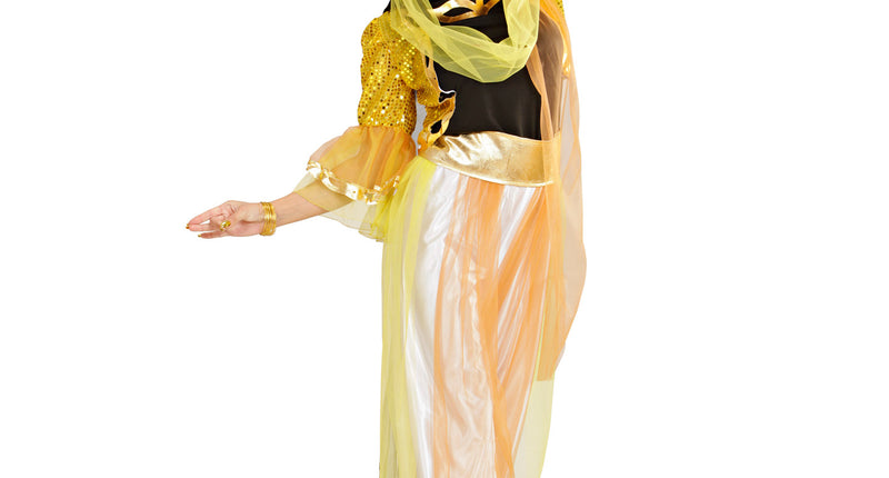 Widmann SRL Buikdanseres kleding Haremdanseres