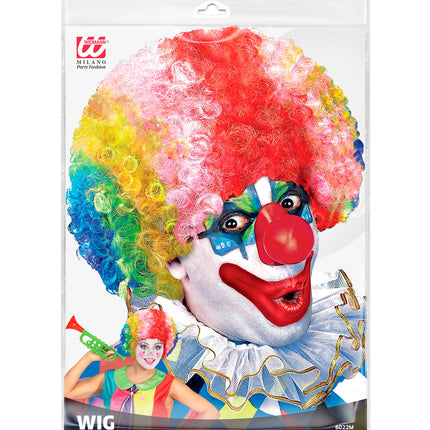 Widmann SRL Clownspruik regenboog