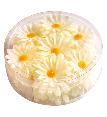 Widmann SRL Decoratie Margrietjes