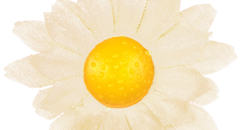 Widmann SRL Decoratie Margrietjes