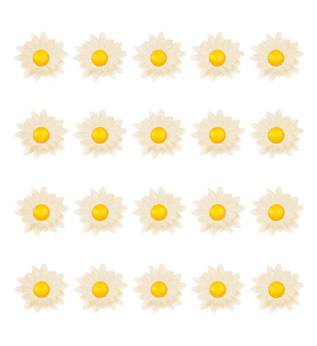 Widmann SRL Decoratie Margrietjes