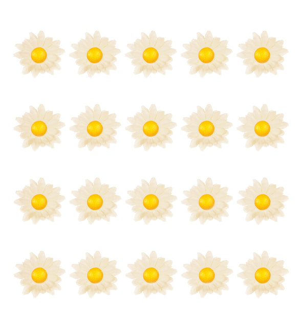 Widmann SRL Decoratie Margrietjes