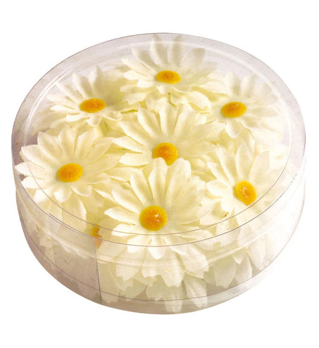 Widmann SRL Decoratie Margrietjes