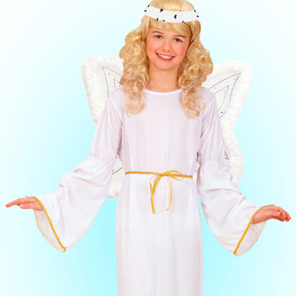 Widmann SRL Engel vleugel setje luxe