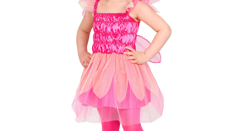 Widmann SRL Feeën kostuum Pixie kind