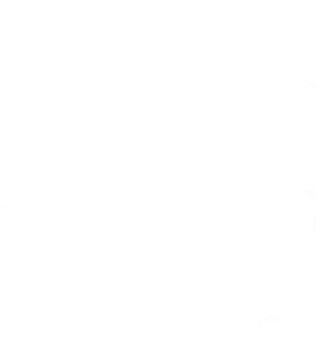 Widmann SRL Goedkope kerstmanset