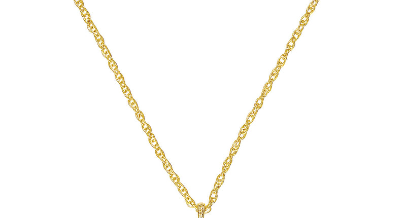 Widmann SRL Gouden dollarketting pooier