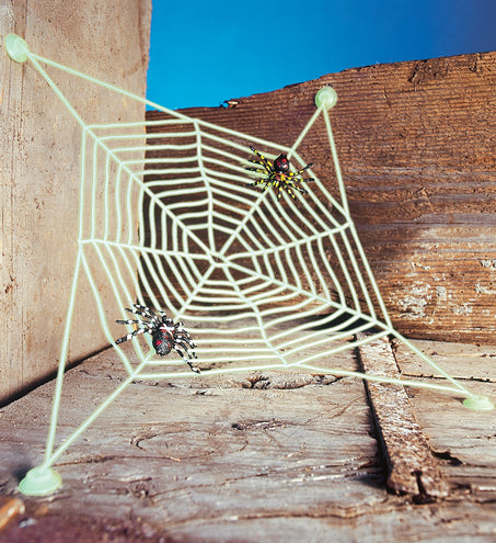 Widmann SRL Groot spinnenweb met 2 spinnen glow in the dark