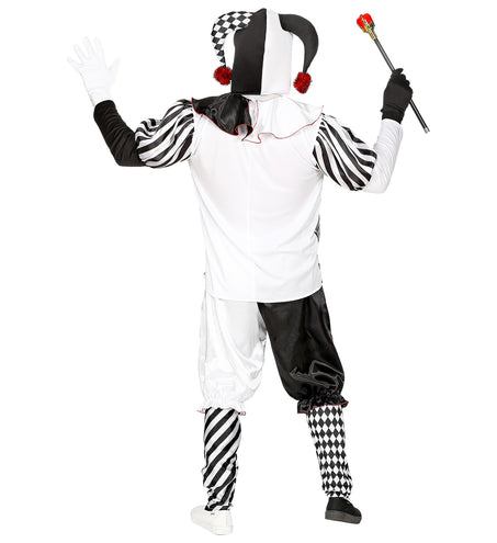 Widmann SRL Harlekijn kostuum heren luxe