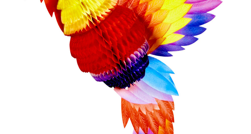 Widmann SRL Honingraat papegaai decoratie van papier