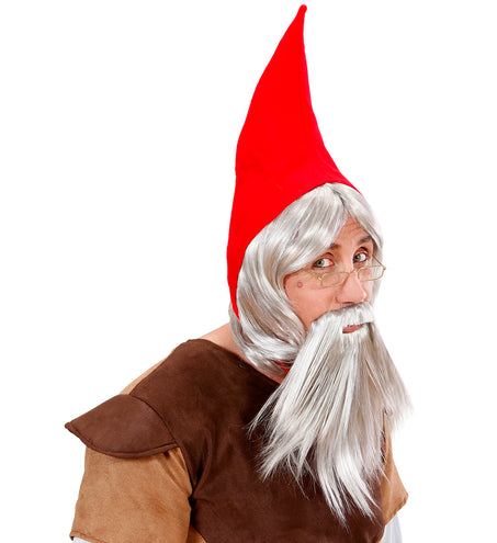 Widmann SRL Kabouter pruik met baard en muts