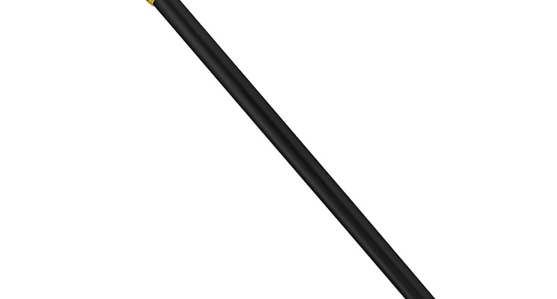 Widmann SRL Koning scepter rood met goud