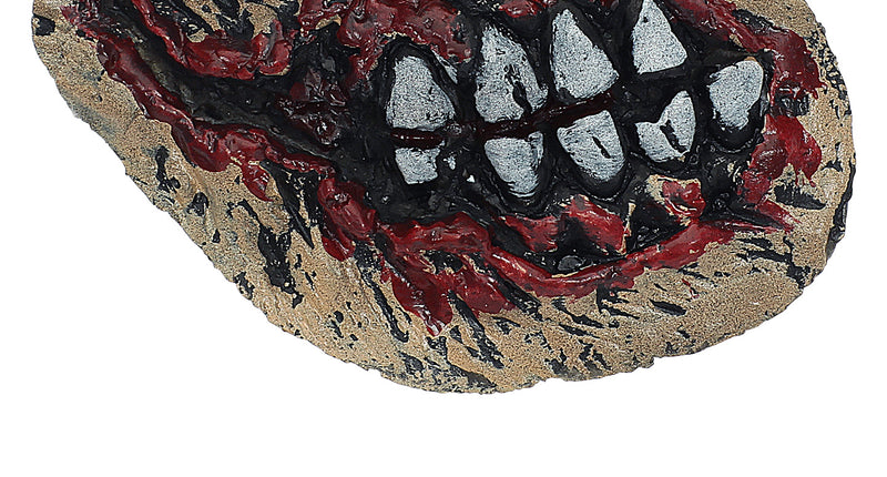 Widmann SRL Latex kaak wond