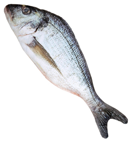 Widmann SRL Levensechte vis 55cm