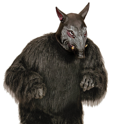 Widmann SRL Mannelijk varkens masker voor party's