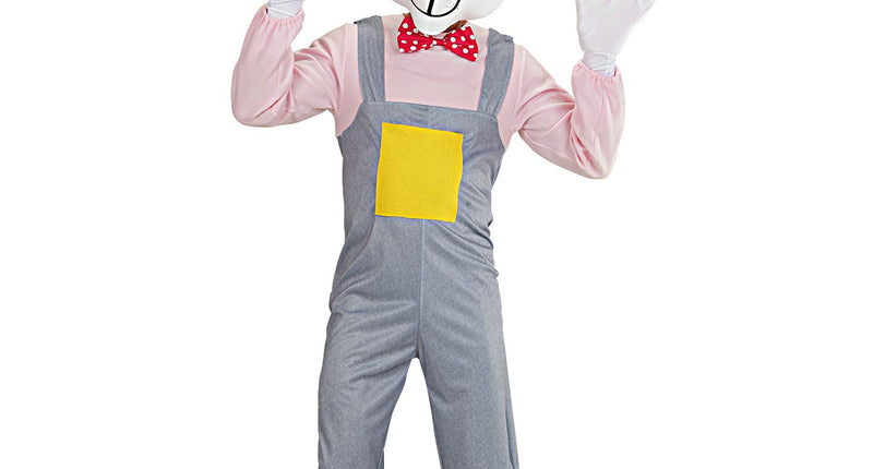 Widmann SRL Mascotte konijn kostuum