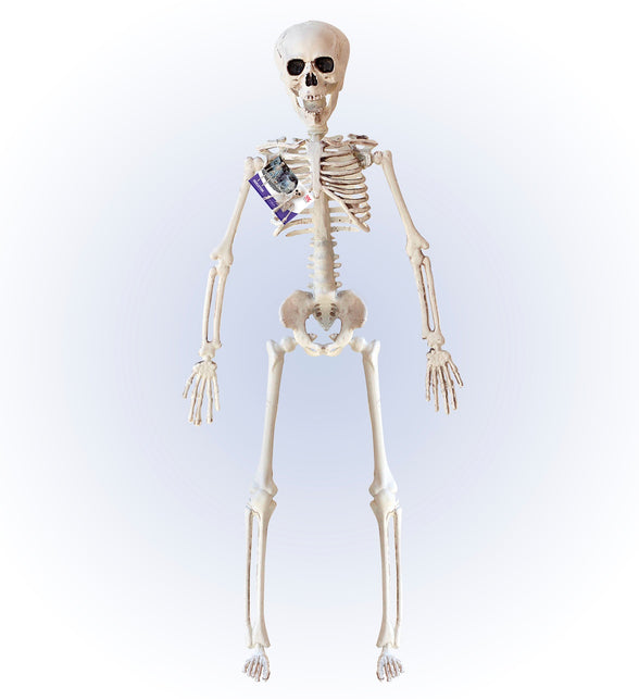Widmann SRL Nep skelet 40 cm buigbaar